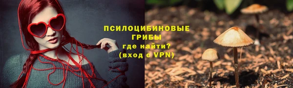 МДМА Бородино