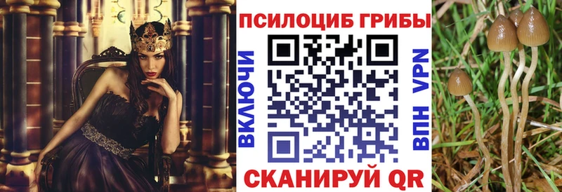 Псилоцибиновые грибы Psilocybine cubensis Данилов